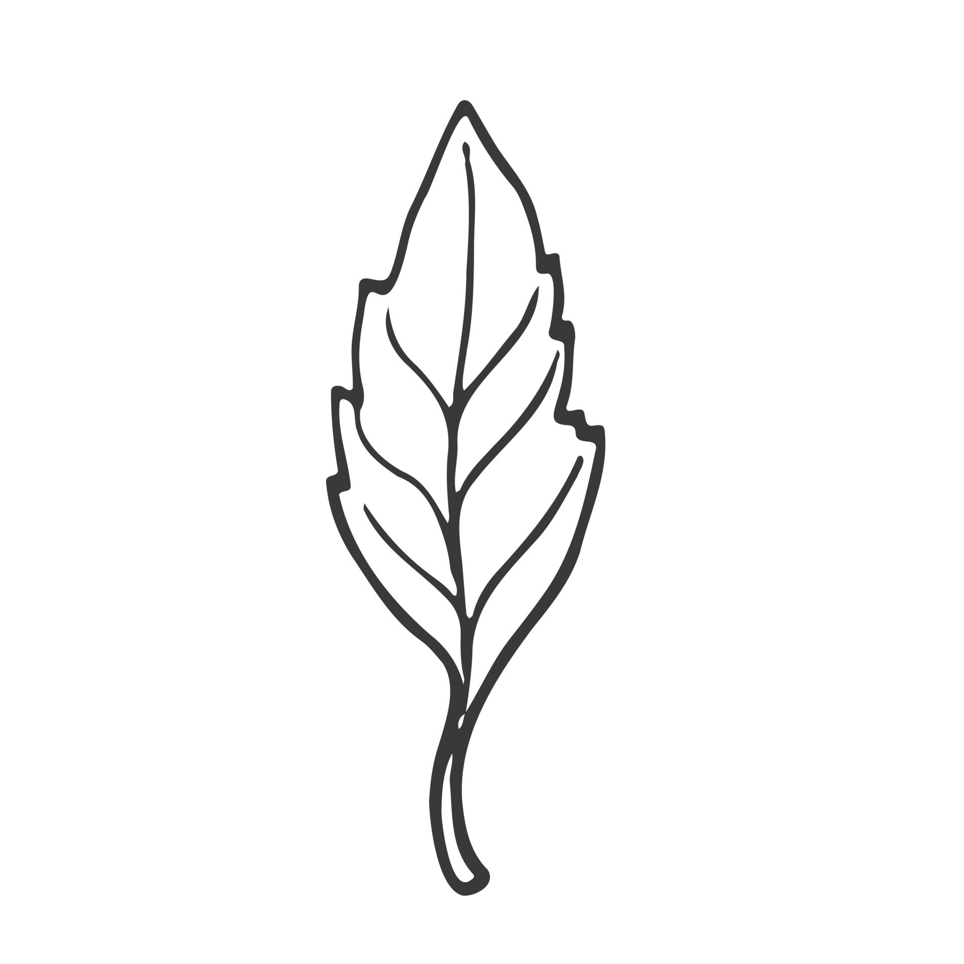 Doodle forest leaf. Hand drawn vector lineart. 20774430 Vector Art at