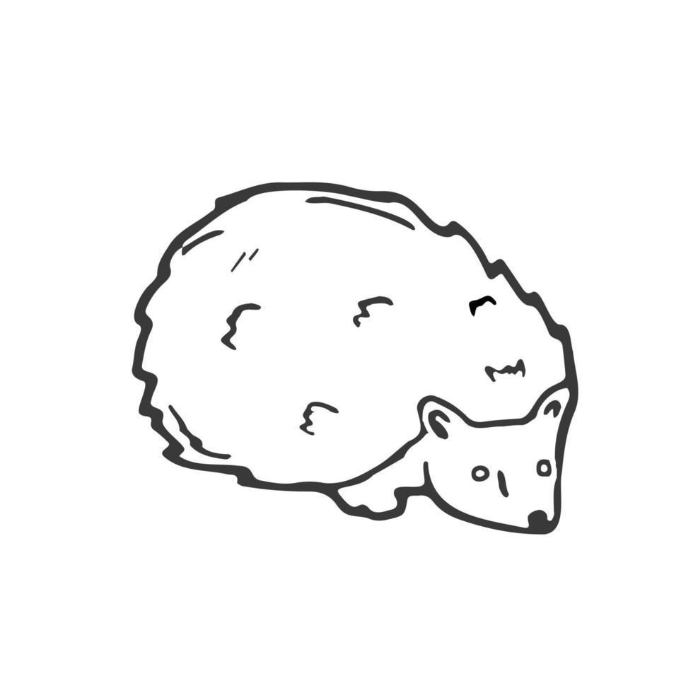 Doodle hedgehog icon in vector. Hand drawn hedgehog icon in vector