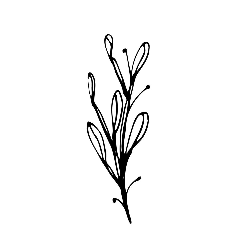 vector conjunto de garabatear dibujado a mano flores colección de moderno línea ilustraciones.