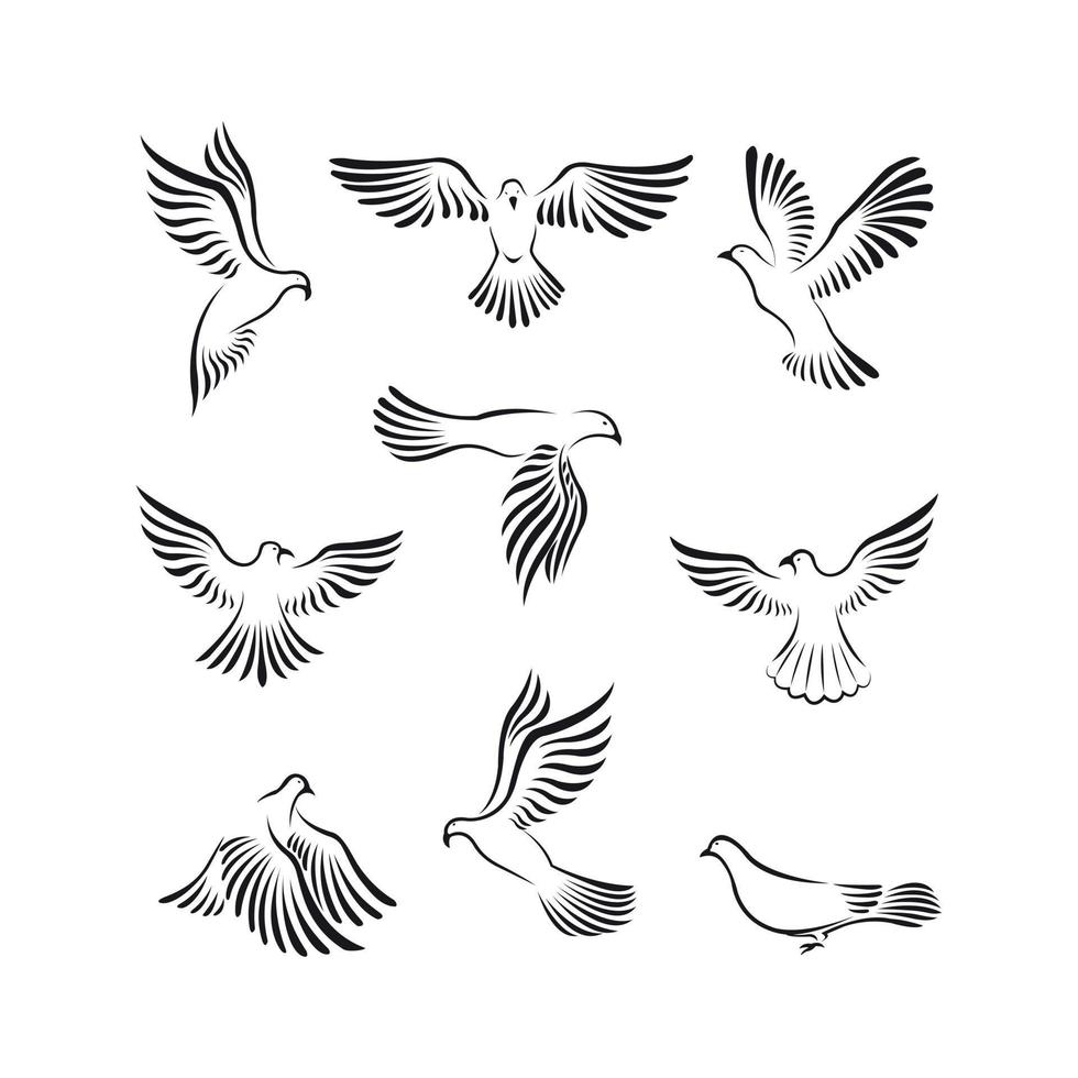 Dove Peace Illustration Symbol Collection vector