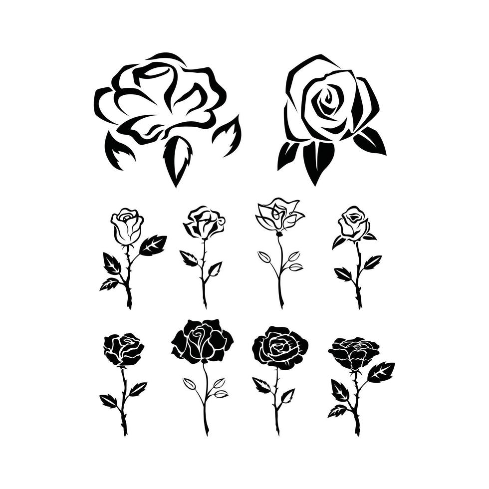 Rose Illustration Symbol Collection vector