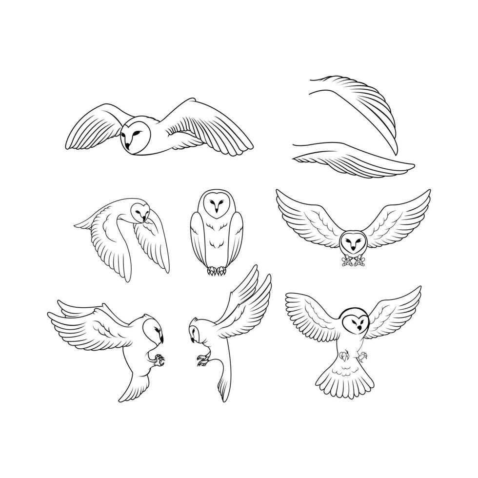 Owl Poses Illustration Symbol Collection vector