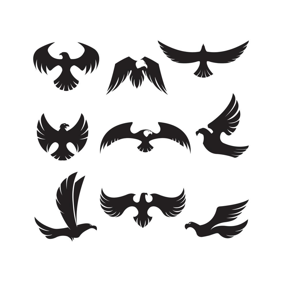Hawk Illustration Symbol Collection vector