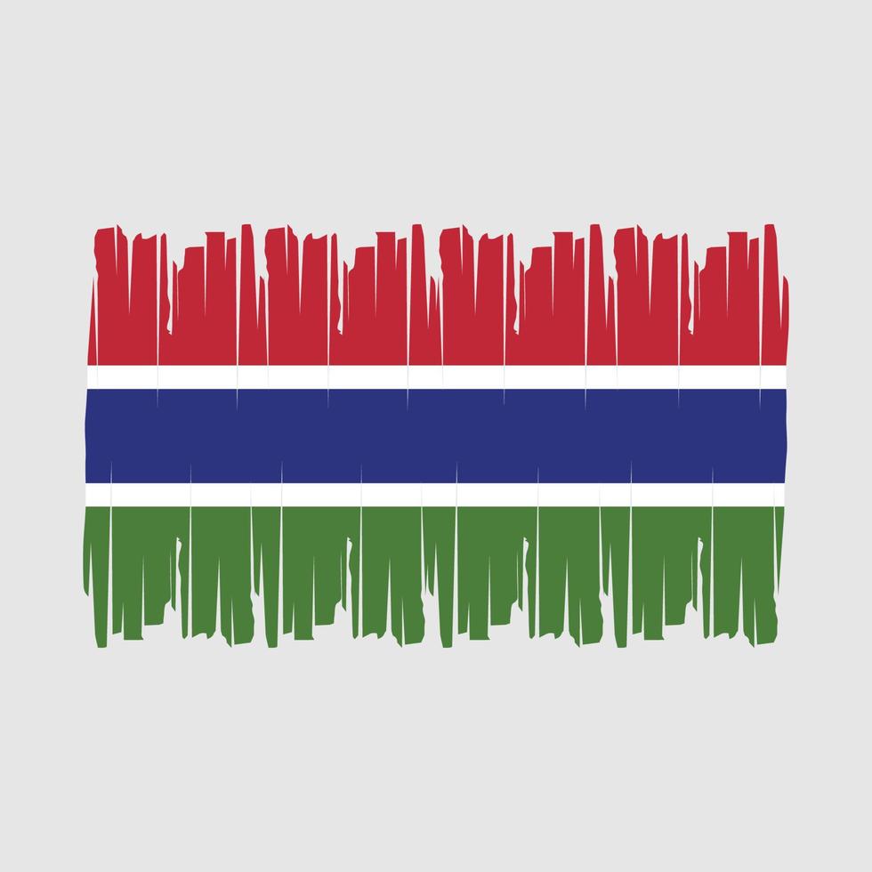 vector de pincel de bandera de gambia