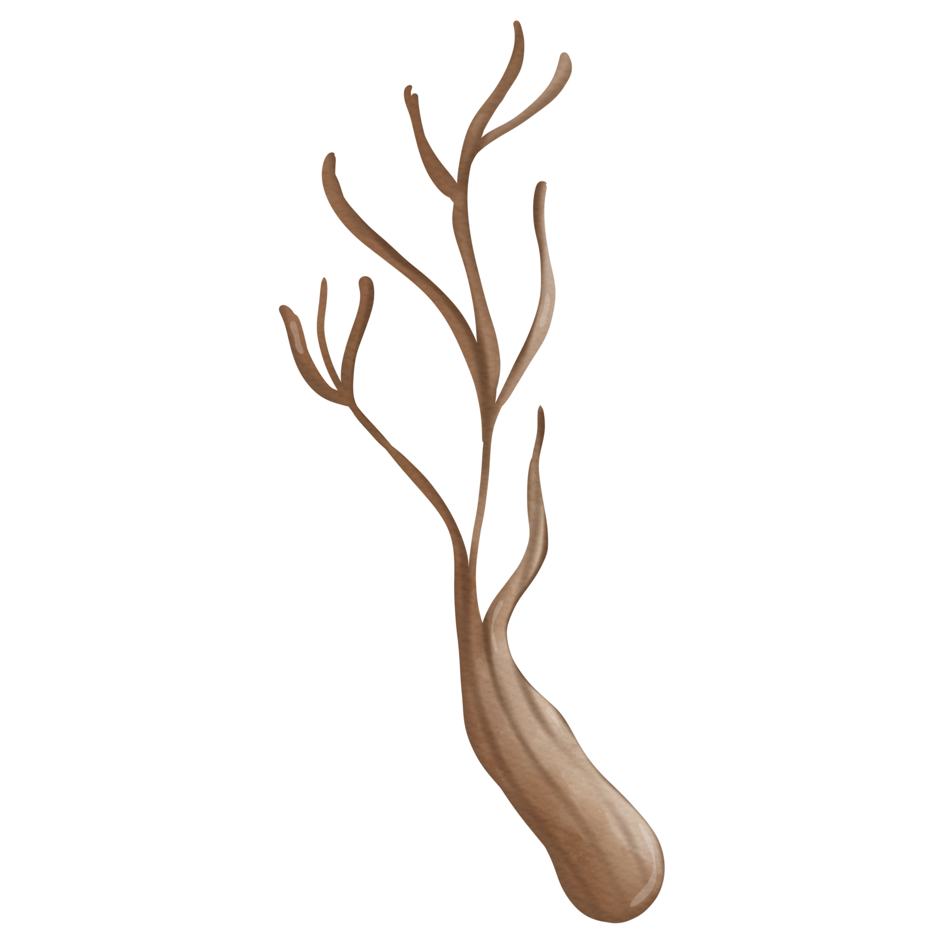 Watercolor hand drawn of dry tree branches 20786725 PNG