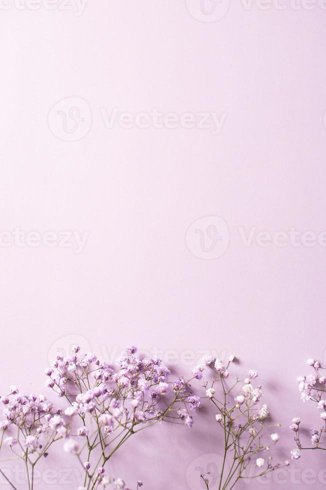 Small purple and white gypsophila flowers stand in a vase on a lilac background photo