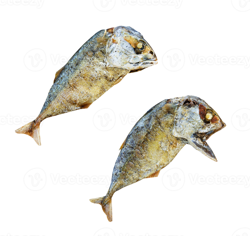 Fried mackerel fish png