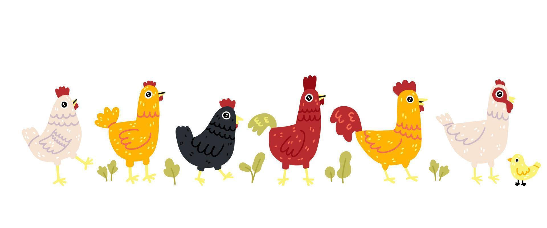 pollo vector dibujos animados polluelo personaje gallina y gallo. vector conjunto de linda aves en blanco antecedentes. pollo familia hecho en sencillo garabatear ingenuo dibujos animados estilo.