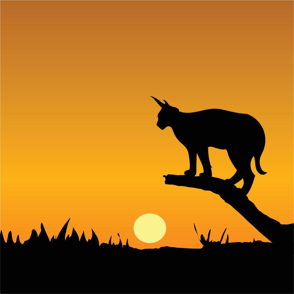 Wild cat on tree bark and evening silhouette vector