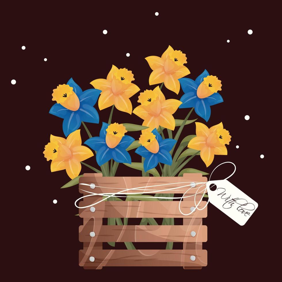 Yellow and blue daffodils in a wooden box with a white ribbon and a note with love. Spring bright flowers for postcard. Greeting card for March 8 and mother's day. Narcissus in a wooden crate vector