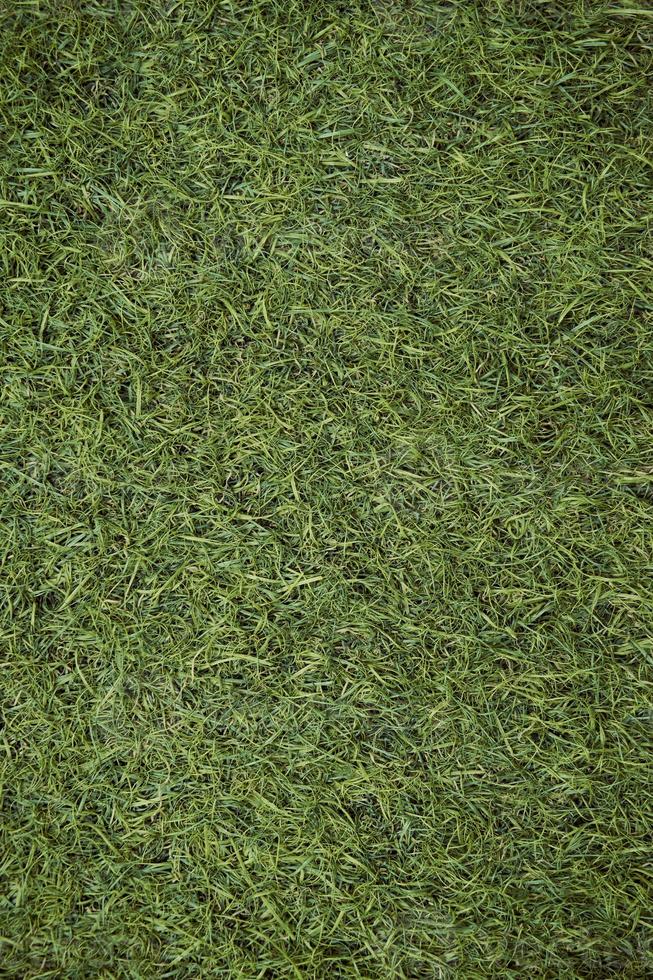 parte superior ver de artificial verde césped textura. falso césped