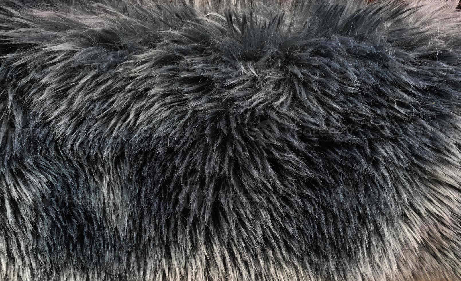 top view of fur Fur pattern background. Texture of shag. Wool texture. Imitation fur close-up. photo