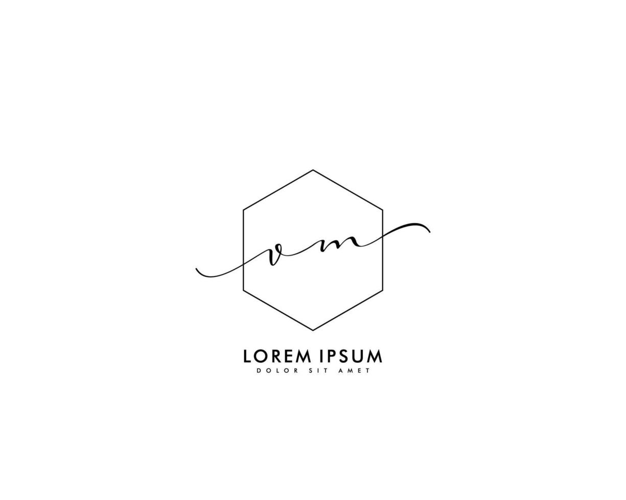 Initial letter VM Feminine logo beauty monogram and elegant logo design, handwriting logo of initial signature, wedding, fashion, floral and botanical with creative template vector