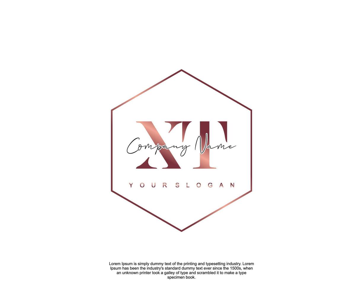 Initial letter XT Feminine logo beauty monogram and elegant logo design, handwriting logo of initial signature, wedding, fashion, floral and botanical with creative template vector