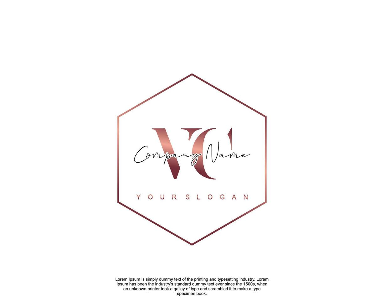 Initial letter VC Feminine logo beauty monogram and elegant logo design, handwriting logo of initial signature, wedding, fashion, floral and botanical with creative template vector