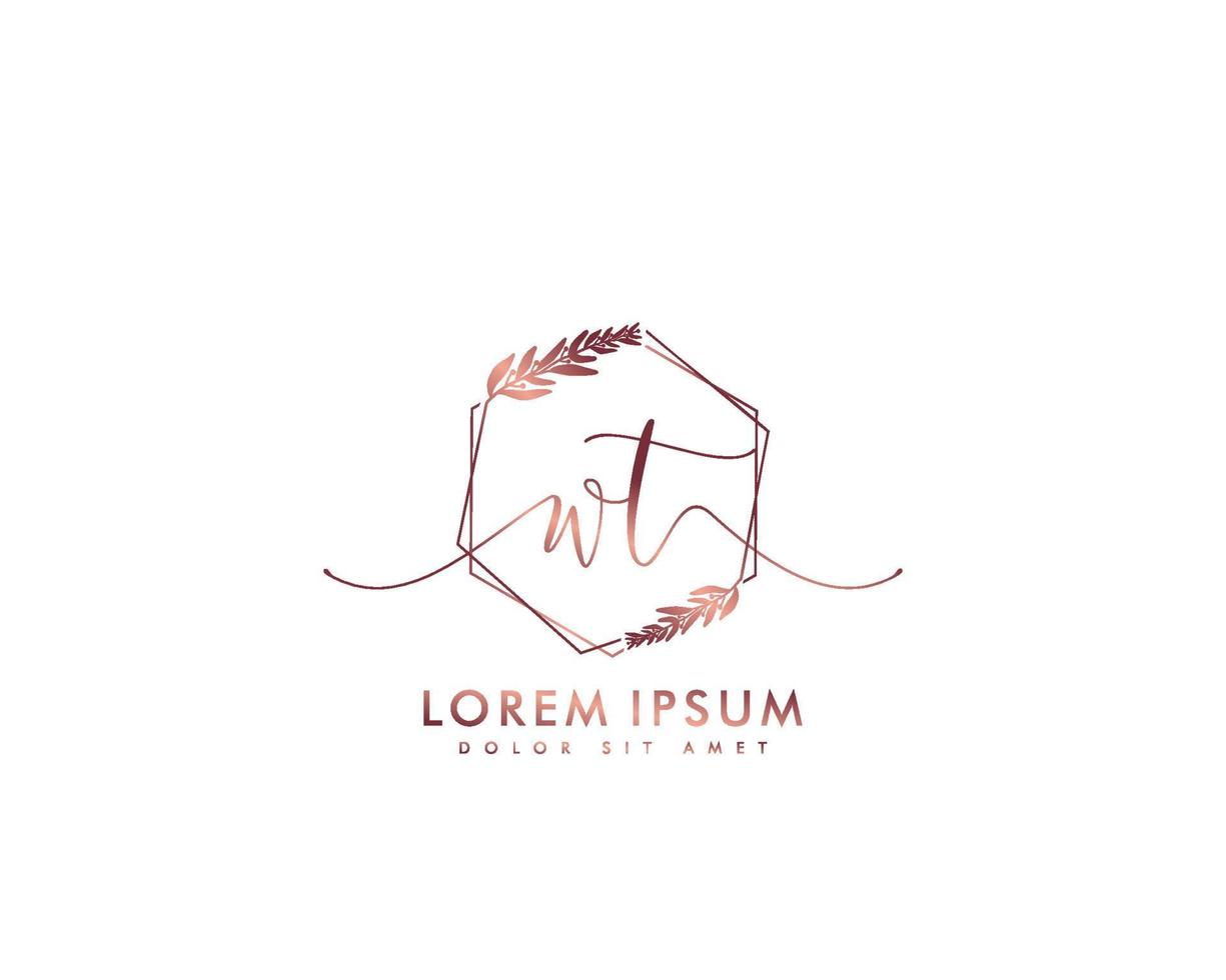 Initial letter WT Feminine logo beauty monogram and elegant logo design, handwriting logo of initial signature, wedding, fashion, floral and botanical with creative template vector