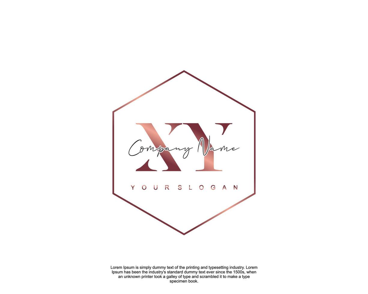 Initial letter XY Feminine logo beauty monogram and elegant logo design, handwriting logo of initial signature, wedding, fashion, floral and botanical with creative template vector