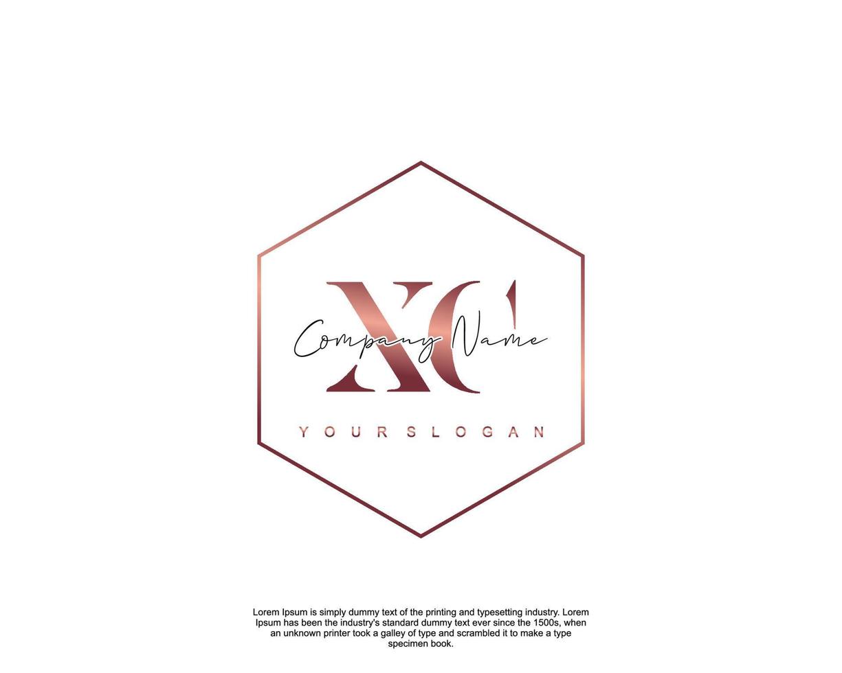 Initial letter XC Feminine logo beauty monogram and elegant logo design, handwriting logo of initial signature, wedding, fashion, floral and botanical with creative template vector