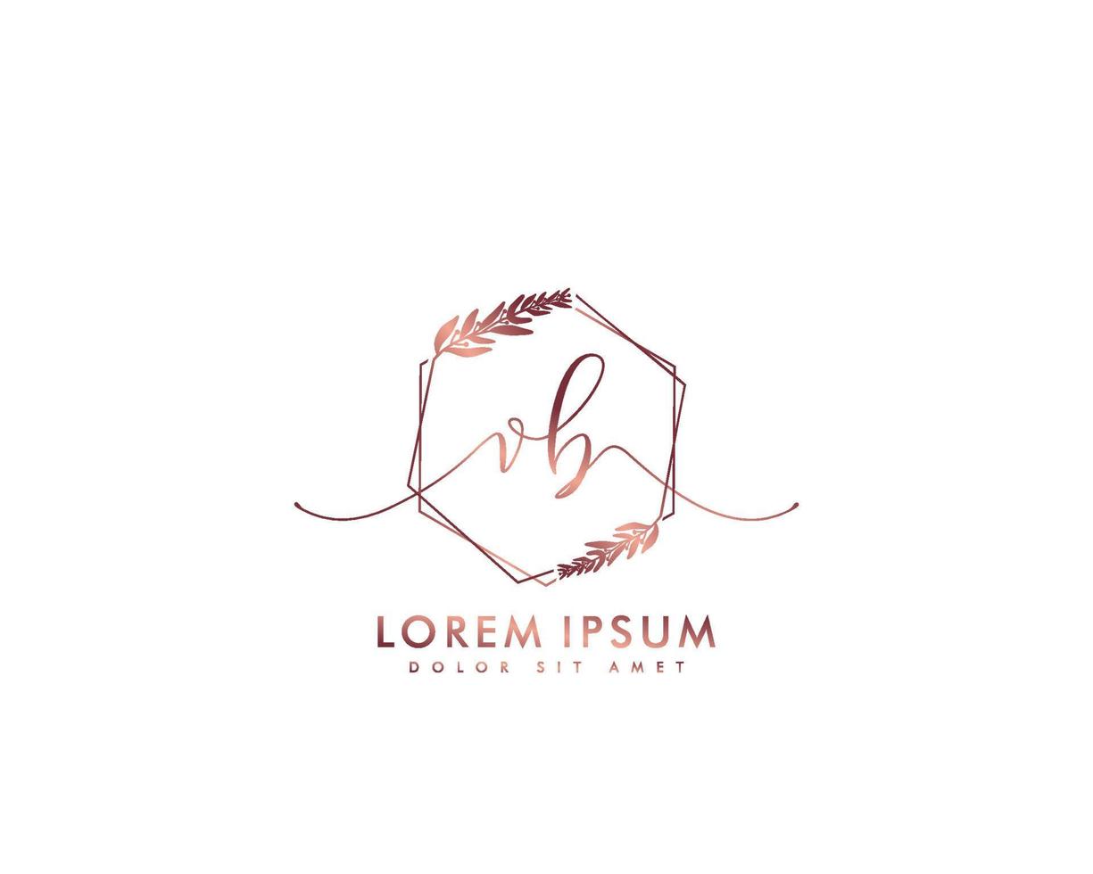 Initial letter VB Feminine logo beauty monogram and elegant logo design, handwriting logo of initial signature, wedding, fashion, floral and botanical with creative template vector