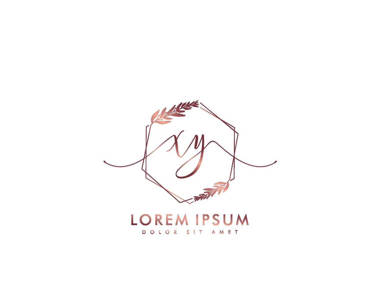Initial letter XY Feminine logo beauty monogram and elegant logo design, handwriting logo of initial signature, wedding, fashion, floral and botanical with creative template vector