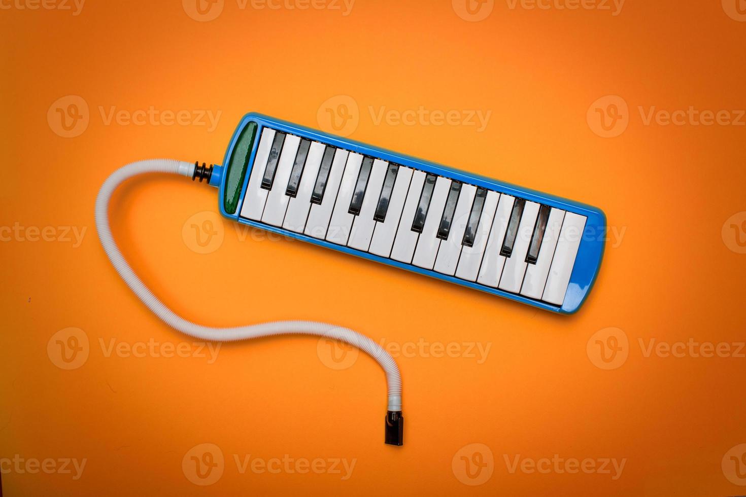 Wind instrument with keyboard la melodica photo