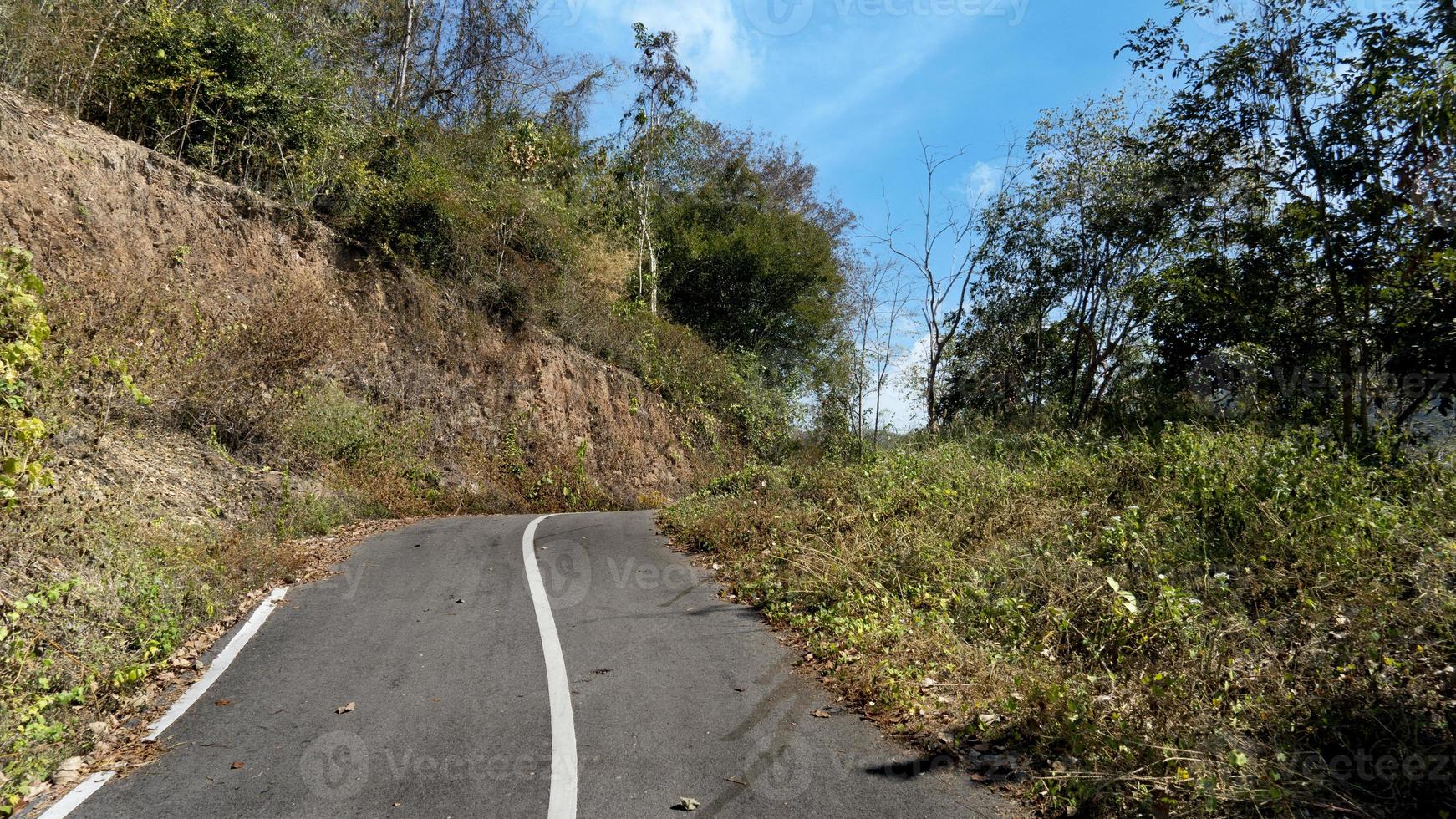 Path of a small asphalt road with forward bends. On both sides of the road there are trees and green grass. Background under the blue sky. photo