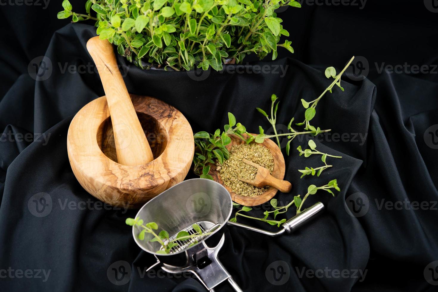 oregano origanum vulgar delicious kitchen herbs photo