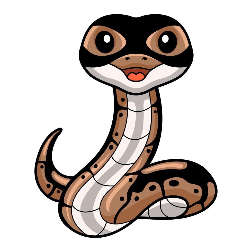 Cute ball python snake cartoon vector