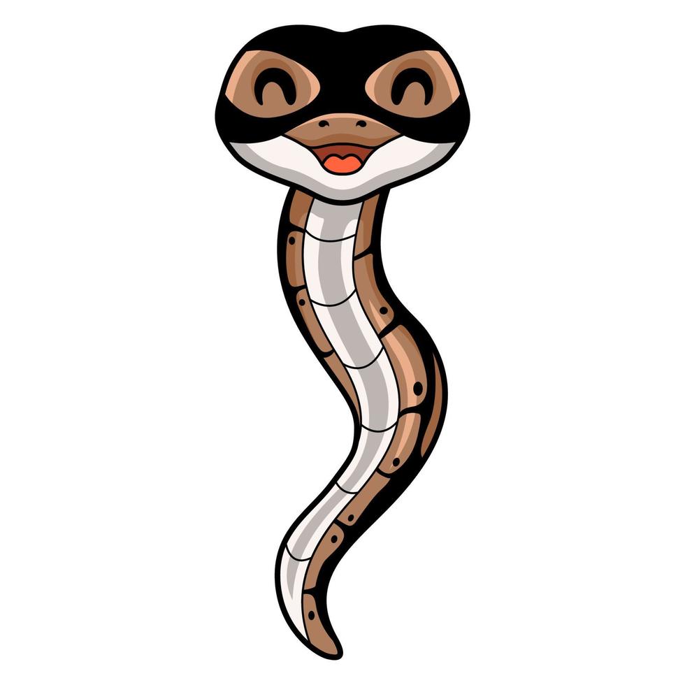 linda pelota pitón serpiente dibujos animados vector