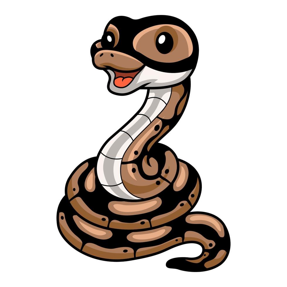 Cute ball python snake cartoon vector