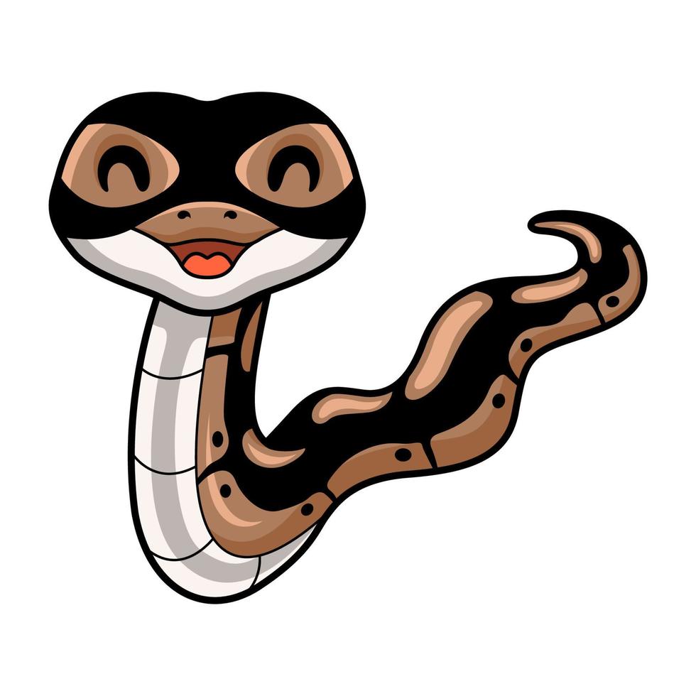 Cute ball python snake cartoon vector