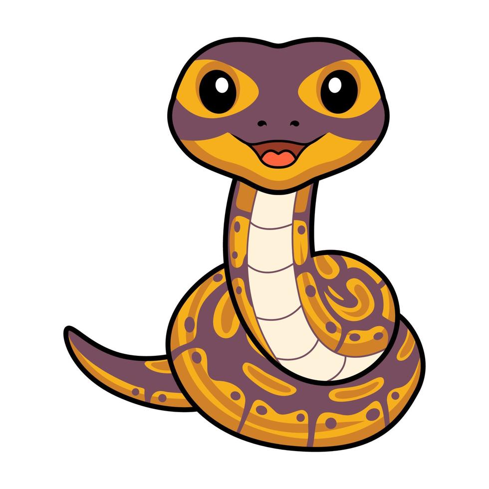 Cute banana ball python snake cartoon vector