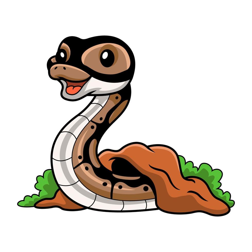 Cute ball python snake cartoon out from hole vector