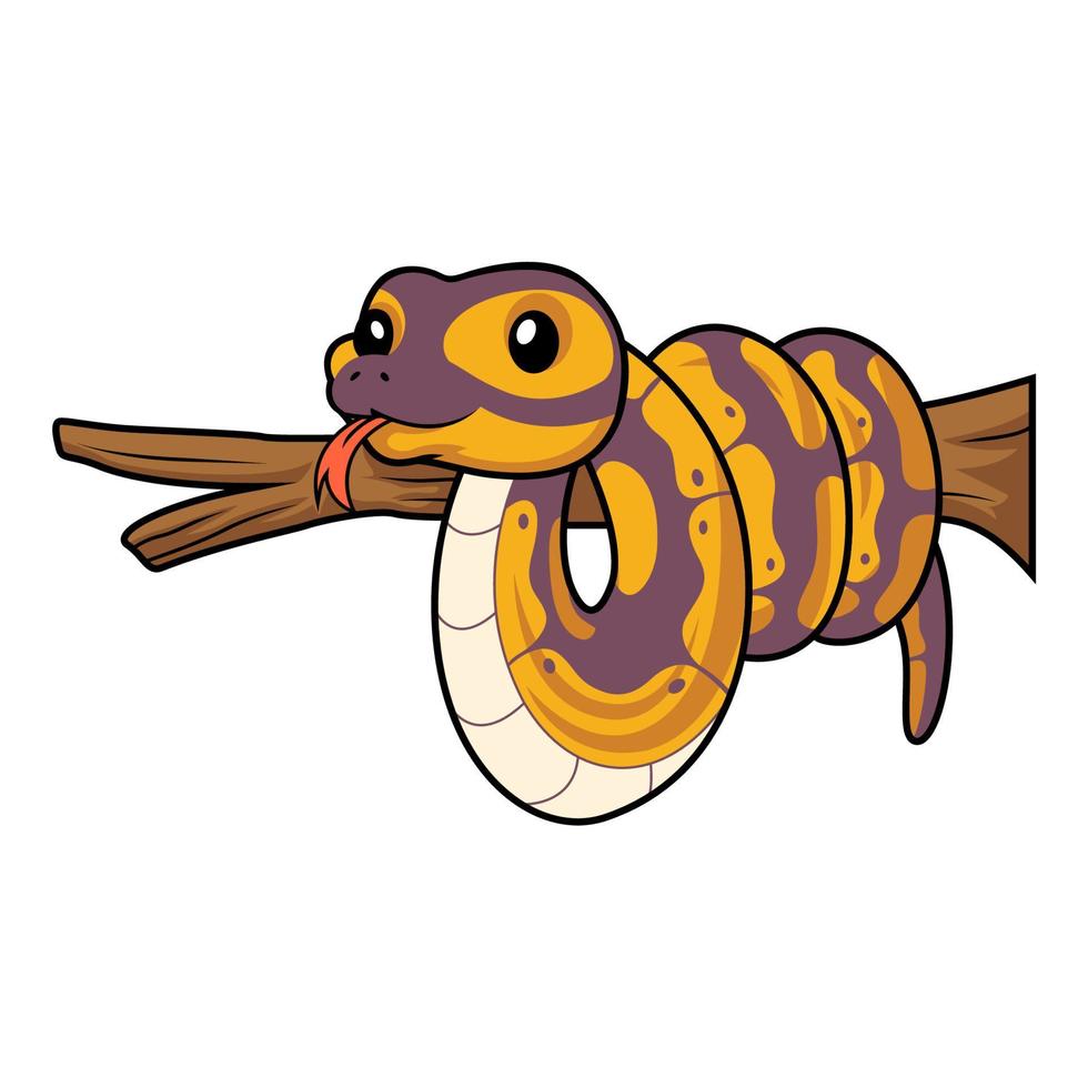 Cute banana ball python snake cartoon on tree branch vector