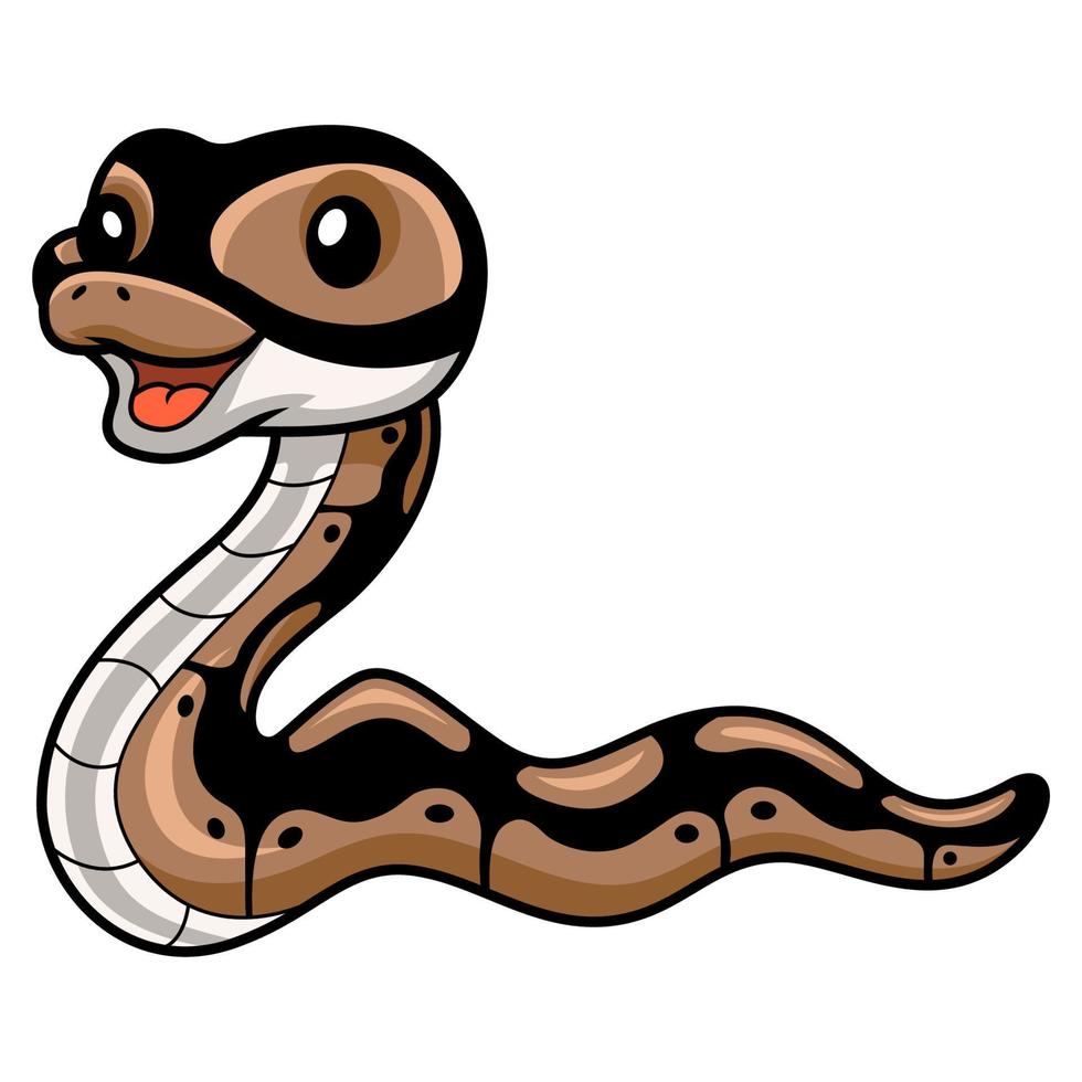 Cute ball python snake cartoon vector