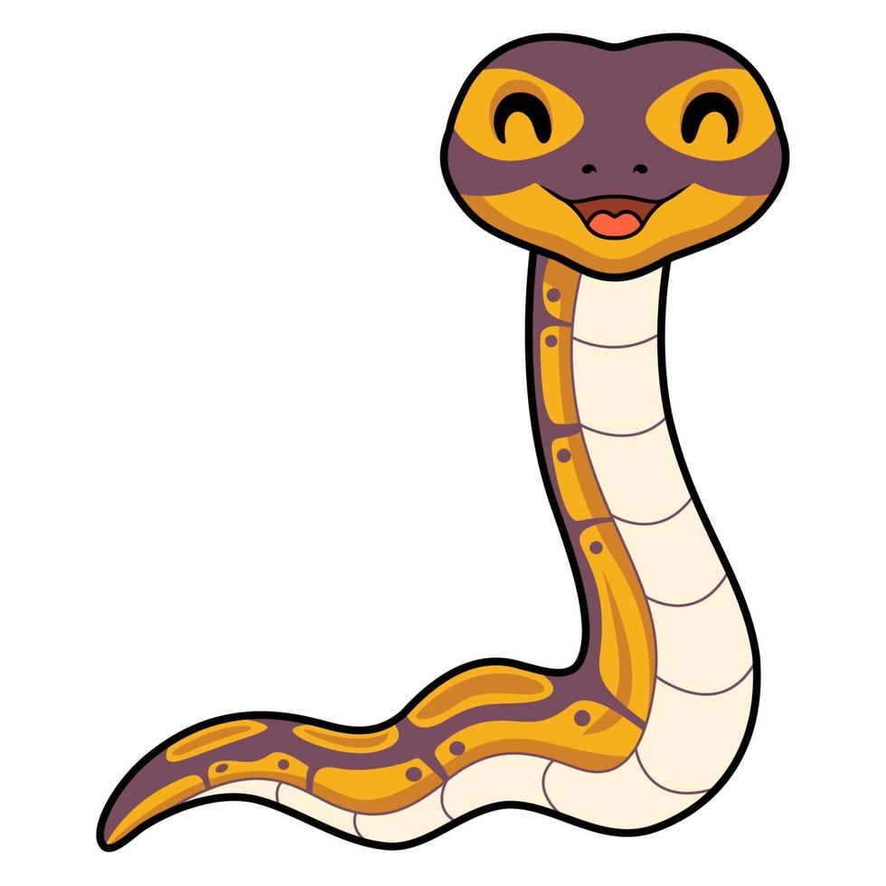 Cute banana ball python snake cartoon vector