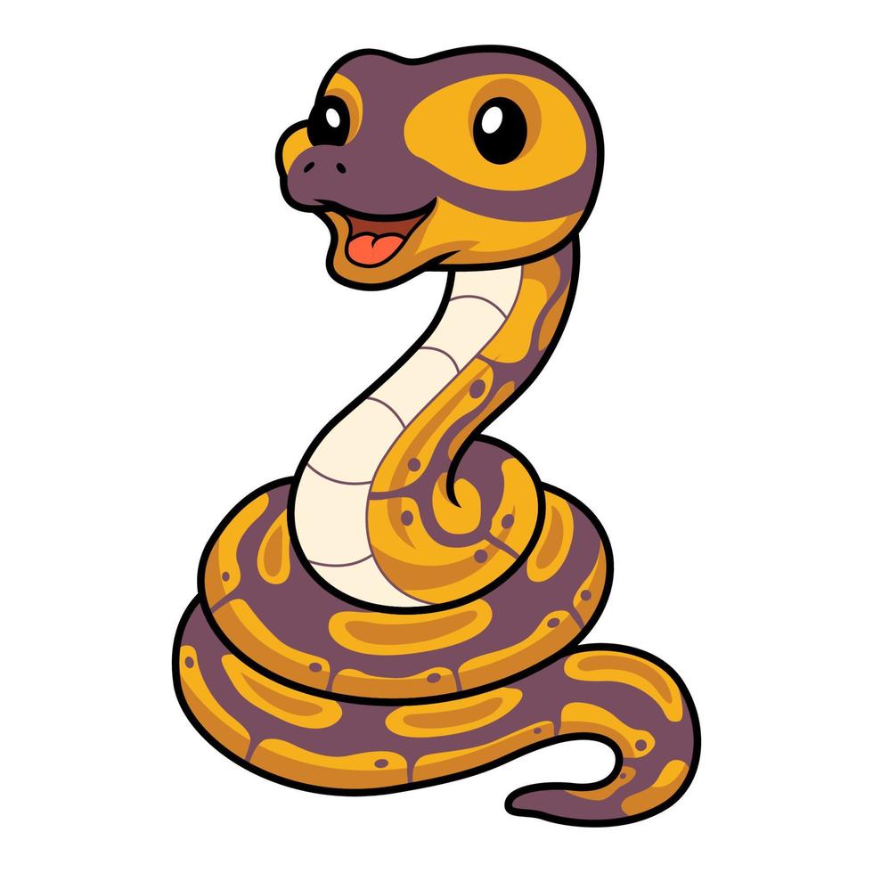 Cute banana ball python snake cartoon vector