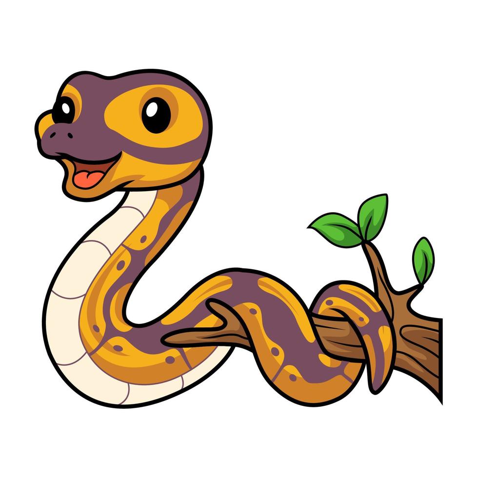 linda plátano pelota pitón serpiente dibujos animados en árbol rama vector