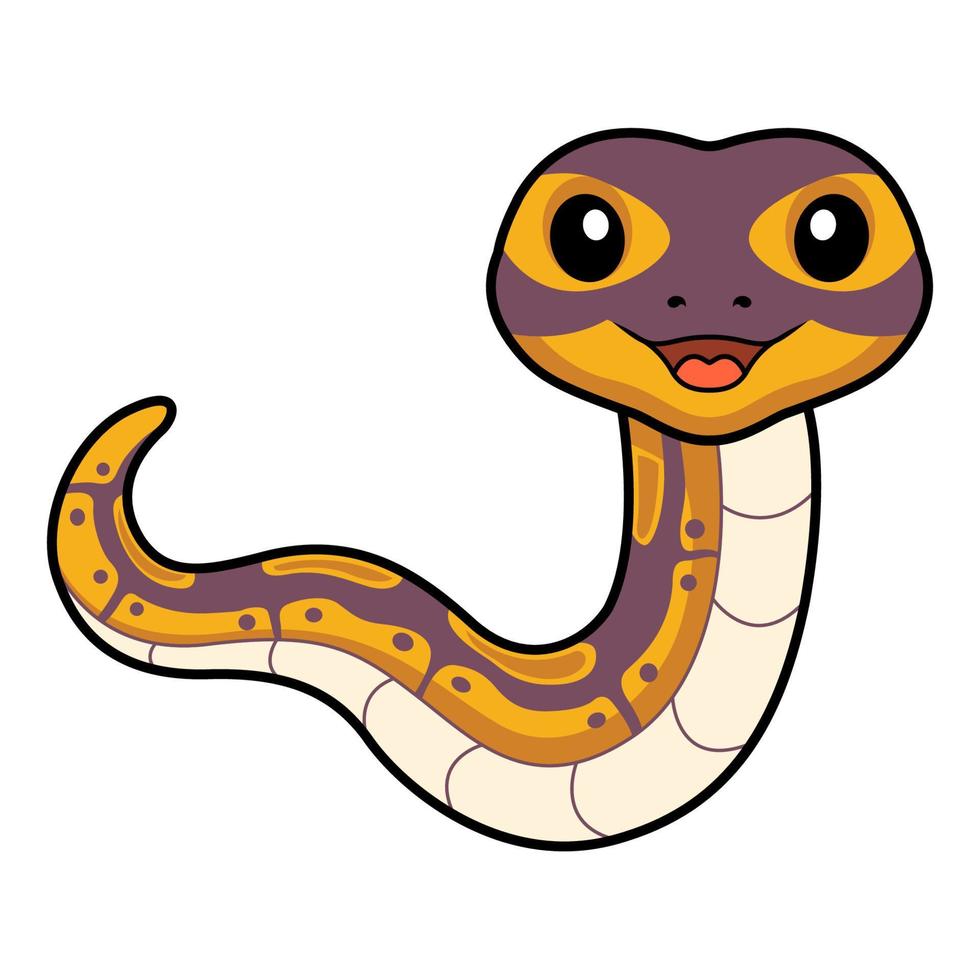 Cute banana ball python snake cartoon vector