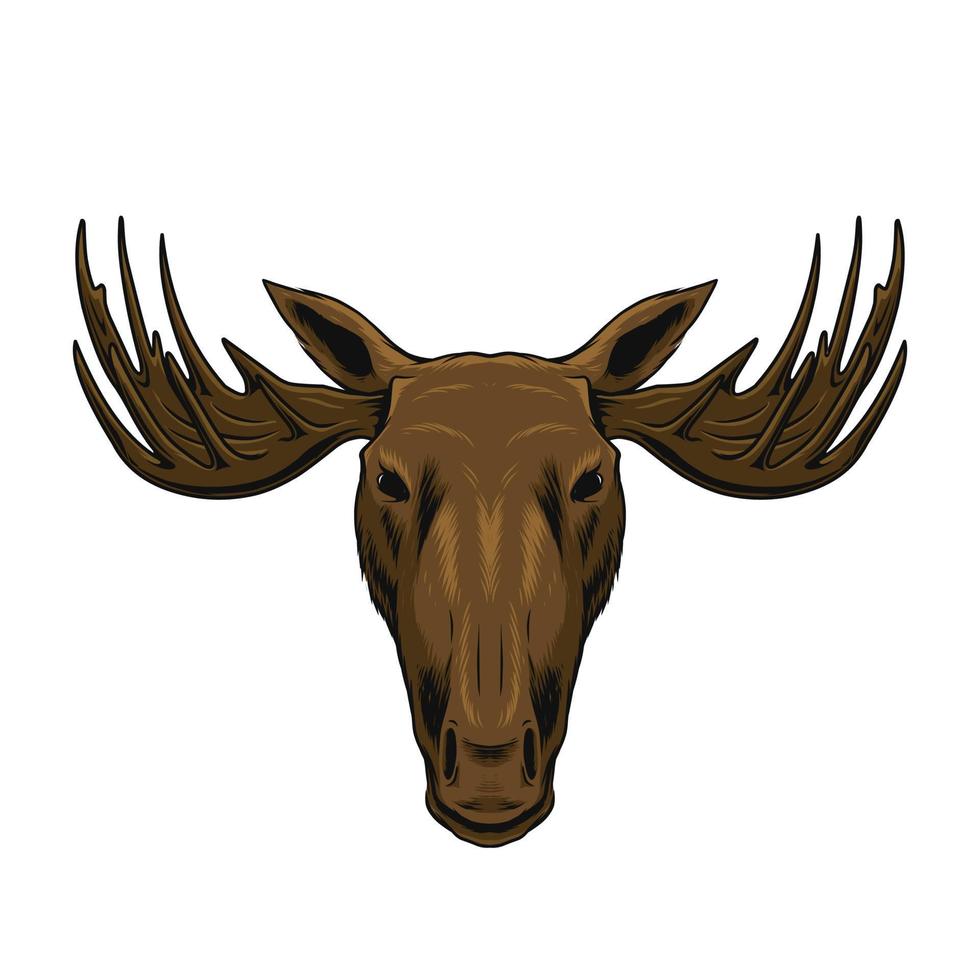 Moose Head Illustration 20806108 Vector Art At Vecteezy Moose Head Illustration Vector
