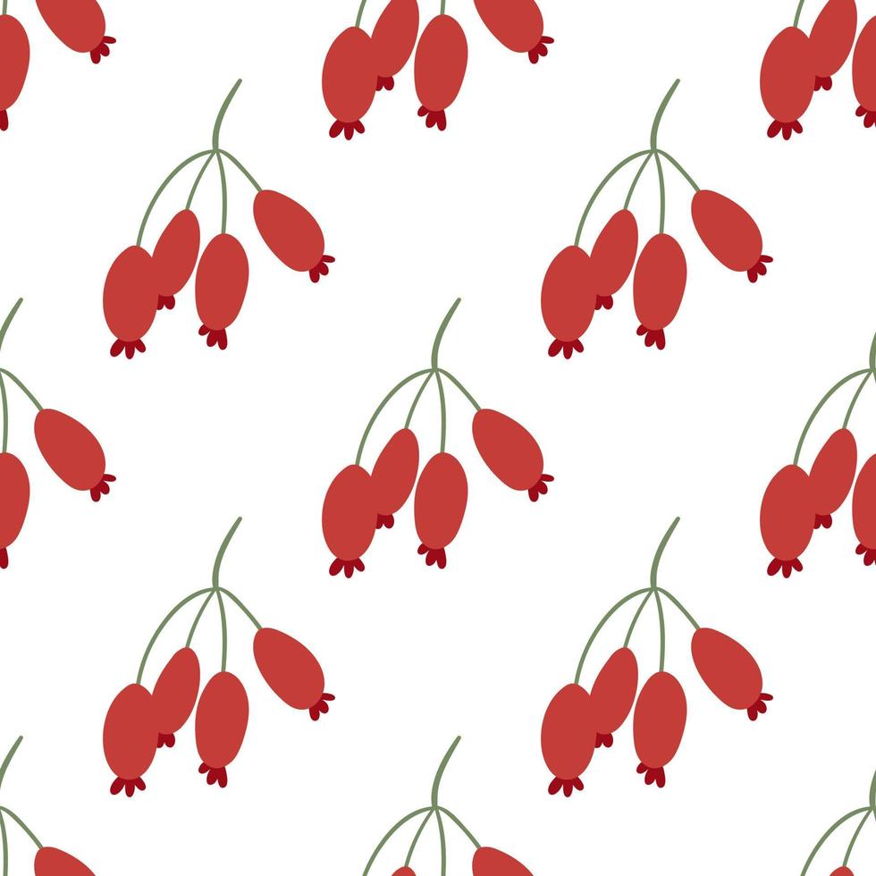 Red and ripe rose hip berry. Floral seamless pattern vector