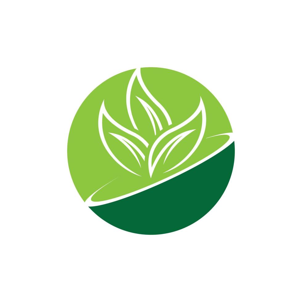 logo de hoja verde vector