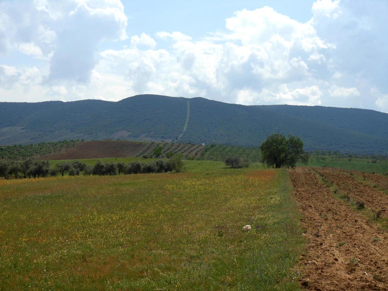Sights of the green mountain and the blue sky photo