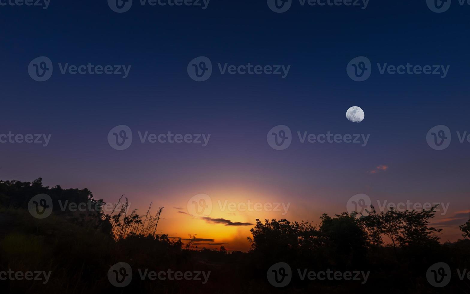 Sunset or sunrise with silhouette of grass and bush and the moon photo