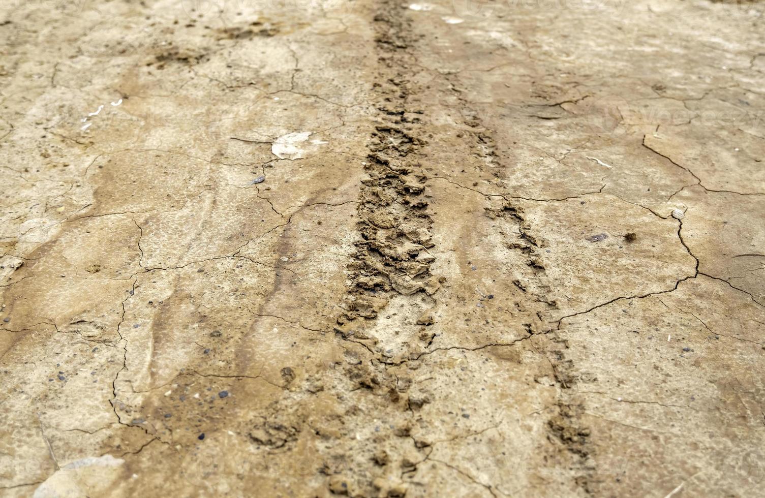 Wheel tracks in the mud photo