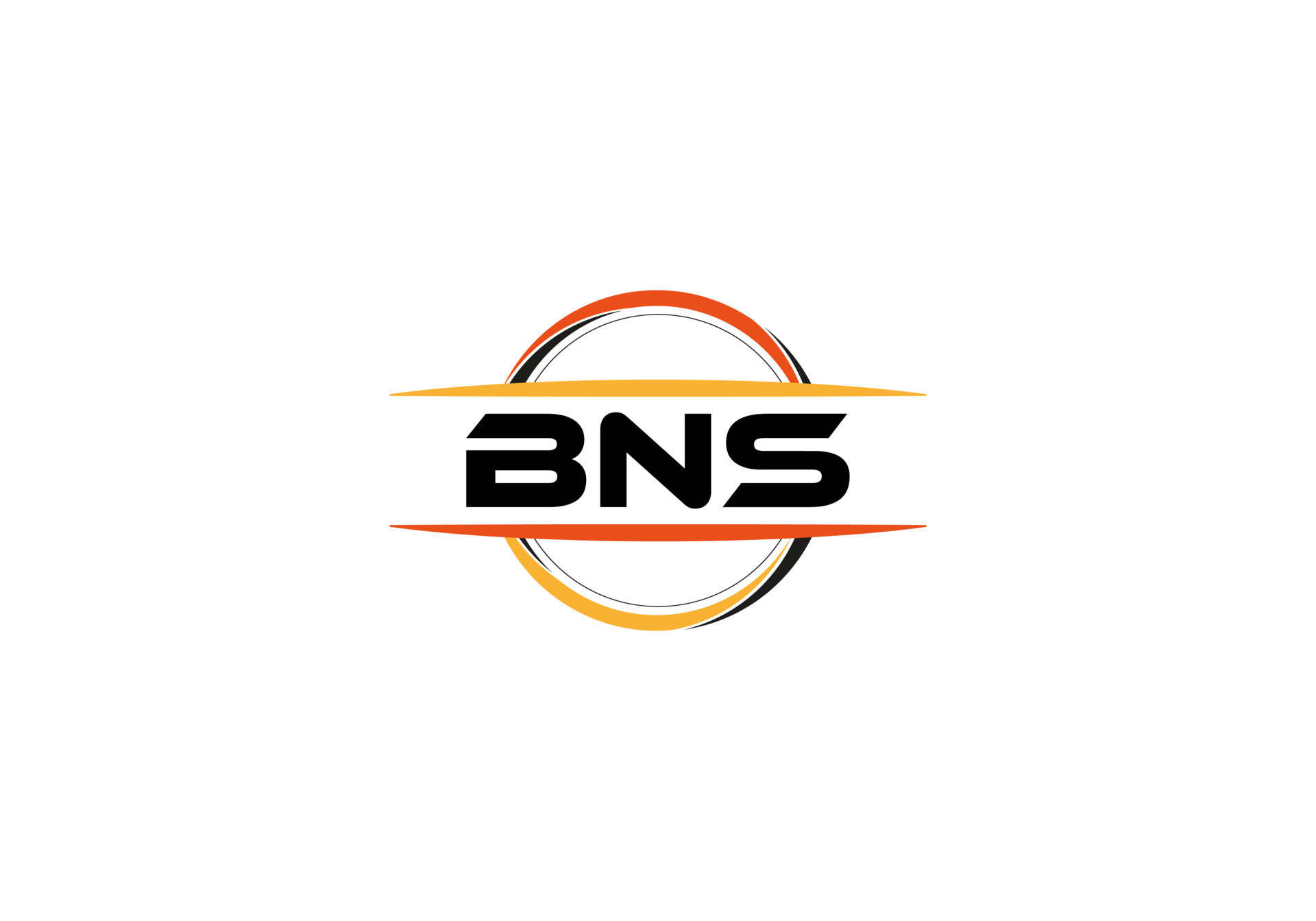BNS letter royalty ellipse shape logo. BNS brush art logo. BNS logo for