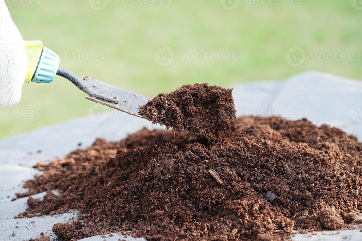 Peat moss, fertilizer soil for organic agriculture, plant growing, ecology concept. photo