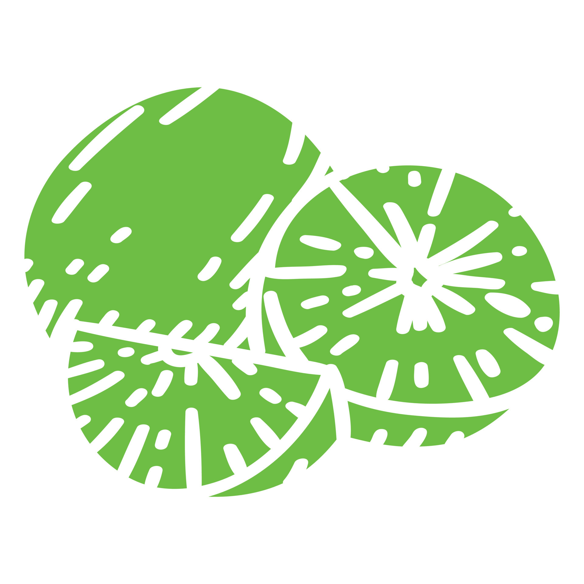 Lime Cut Out 20811432 Vector Art at Vecteezy