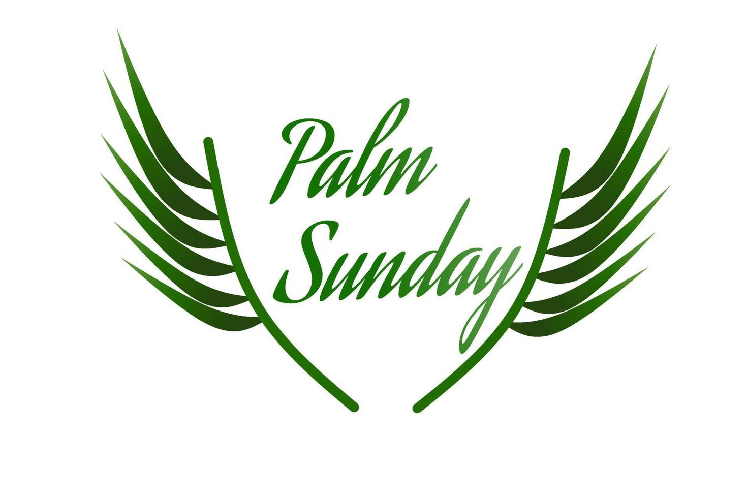 Palm Sunday background with a green leaf theme. Vector illustration