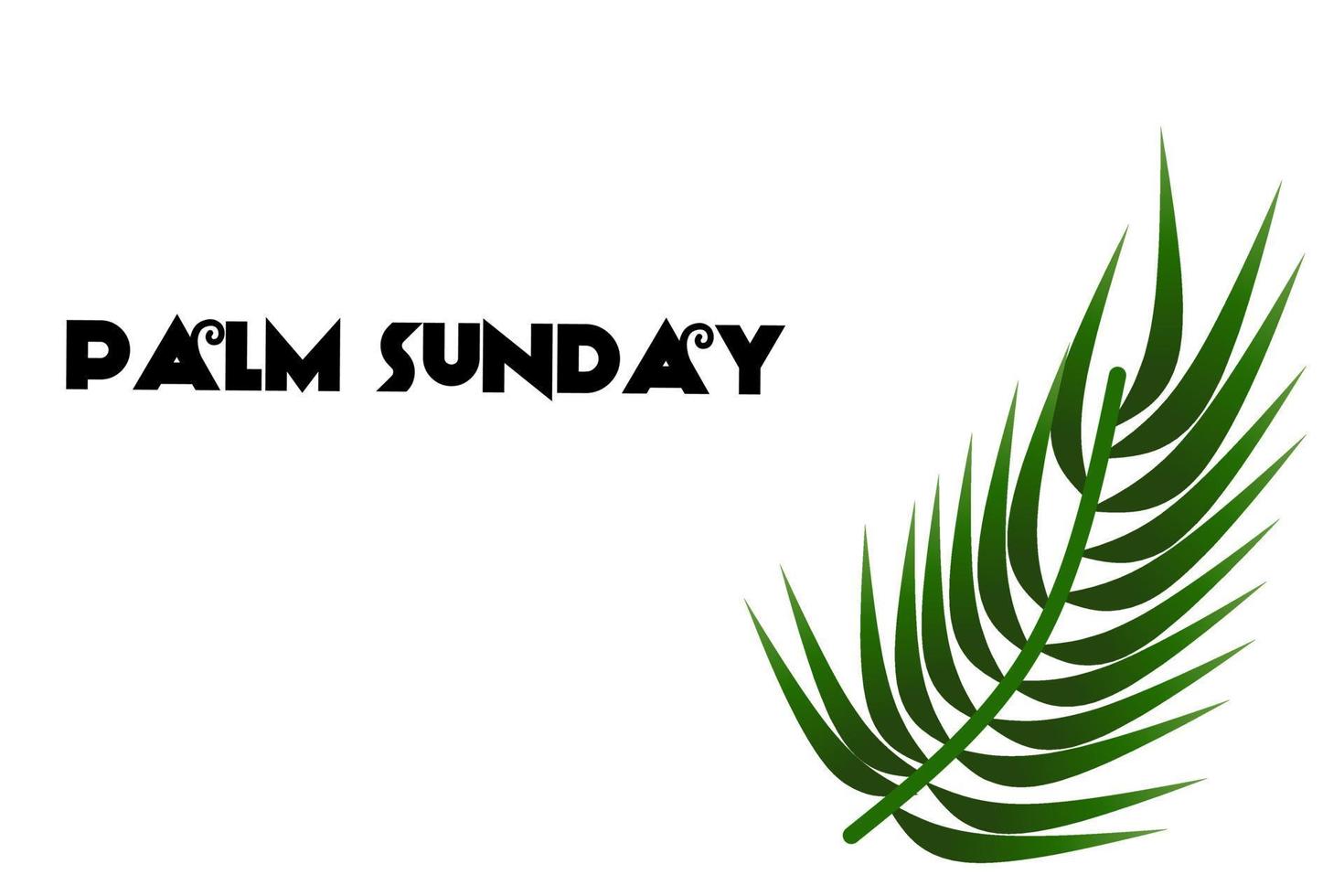 Palm Sunday background with a green leaf theme. Vector illustration